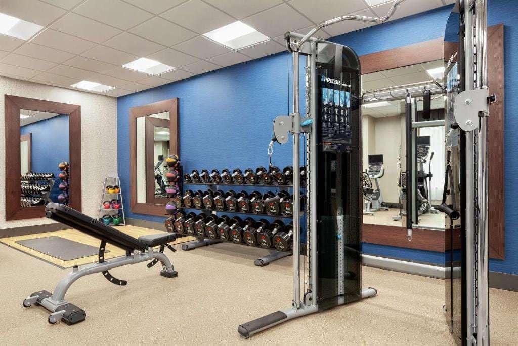 Weight area with dumbbell rack, adjustable bench, cable machine and wall mirrors